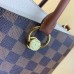 Louis Vuitton LV Riverside Bag Damier Ebene N40135