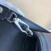 Louis Vuitton Dauphine Bumbag Giant Monogram M67696