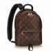 Louis Vuitton Palm Springs Backpack PM M41560