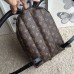 Louis Vuitton Palm Springs Backpack PM M41560