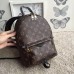 Louis Vuitton Palm Springs Backpack PM M41560